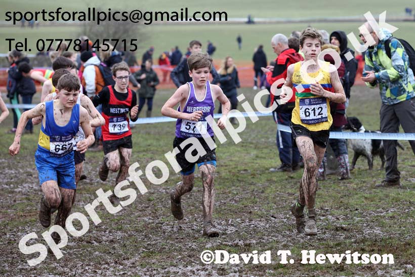 Boys under-13s 2018 British Inter Counties Cross Country Champs., Prestwold Hall, Loughborough. Photo: David T. Hewitson/Sports for All Pics